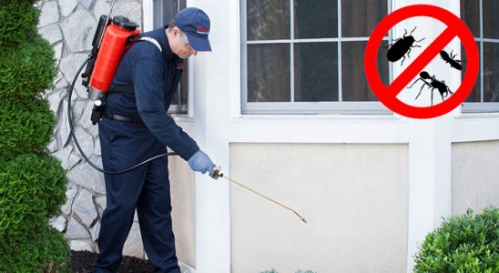 Kartepe Böcek İlaçlama böcek ilaçlama ve haşere kontrolü — ilaclama-tr.com